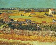 Vincent Van Gogh The Harvest, Arles oil painting picture wholesale